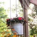 꽃향기정원 이미지