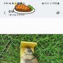 신원대로-7 이미지