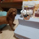 라라까까 이미지