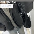 별거 없는 흠터레스팅한 조각모음
