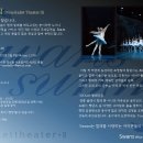 2018 스완스발레단 (와이즈발레단 2) 단원모집중