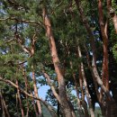 외암마을 이미지