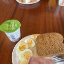 라바호텔 | [신행일기🇮🇸] ep.09 여름 아이슬란드 즐기기 10일차 : 실리카호텔 후기(모스뷰/라바레스토랑)