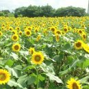 경숙농장 이미지