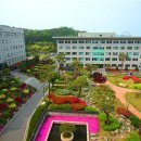 서정대학교 이미지