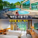 WE | 제주도 호텔 추천 위호텔 할인 예약 조식 수영장 WE 호텔 호캉스 후기