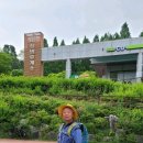 대청휴게소