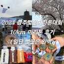 아우디모텔 | 2024년 제31회 경주 벚꽃 마라톤 대회 약간은 아쉬운 10km 후기