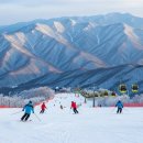 플랜트 황지연못 라운지 | 🏂 겨울 왕국 태백, 오투 리조트 100% 즐기기 가이드! 🎿
