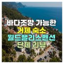 바다조망 가능한 거제 숙소 월드팰리스펜션 단체 리뷰