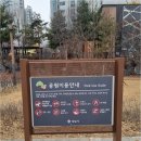 판교봇들공인중개사사무소 | 판교역 근처 부동산, 봇들9단지어울림과 다양한 매력의 아파트 선택하기