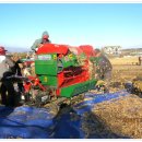 신토불이 이미지