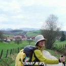 (JNK)컴퍼니 이미지