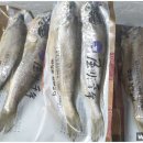 법성포 참맛 영어조합법인 이미지