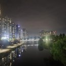 도교2교 이미지