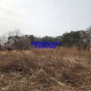고대부동산공인중개사사무소 이미지
