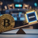 포크기타(주간) 이미지