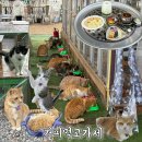 커피먹고가세 이미지