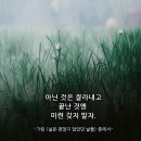 [일원1] 스마트폰 유튜브 실전 (6주: 1/17~2/21) | 25년 12월 이야기, 10일은 쥐똥나무 검정알 열매가 겨울에도 꺾이지 않는 마음을 보여주고 있었다