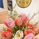 귀건강(이혈테라피) 이미지