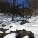 1월 정기산행 강릉 선자령(1,157m) 이미지