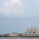 파도짐 정책브리핑