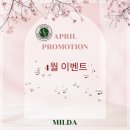 세신샵밀다화곡 | 세신샵 밀다 - 2024년 4월 프로모션(종료)