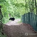 오삼영동