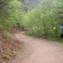 태금상사 이미지