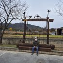 2024.11.17. 서산 가야산-일락산-개심사 단풍산행