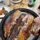 진송오리 이미지