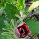 낙원농장4 이미지