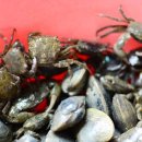 행복비치펜션 이미지