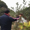 연곡호수팬션 이미지