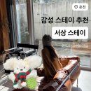 서춘천농협 하나로마트 신매점 | 춘천 감성 숙소 서상스테이 내돈내산 리뷰 | 바베큐 자쿠지 독채 펜션