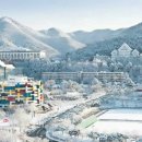 조선대학교 네이버블로그