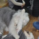 남애농원