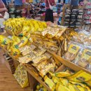 화려농장 | 하와이 여행 가볼만한 곳 파인애플농장(Dole Plantation)방문 솔직후기