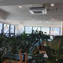 국수나무 후포점 이미지