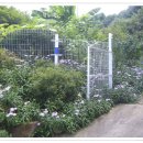 김광수 농장 이미지