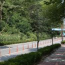 춘천시민 헌장비 이미지