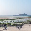 제주도 이미지
