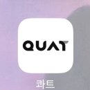 (주)위젯 | QUAT 콰트 10개월 내돈내산 사용 찐 솔직 후기 (콰트강의 추천, 가격, 프로그램활용법 , 활용범위)