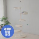 오로라 캣 이미지