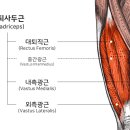 브이엠휘트니스 이미지