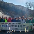 여주-1100 이미지