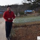 마룡농장 이미지