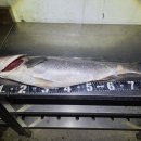 강화조아공인중개사사무소 이미지