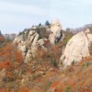 속리산 - 성남시 중원구 시민로117번길 2 | 속리산
