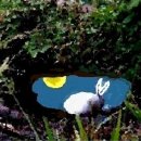 깊은산속민박 이미지